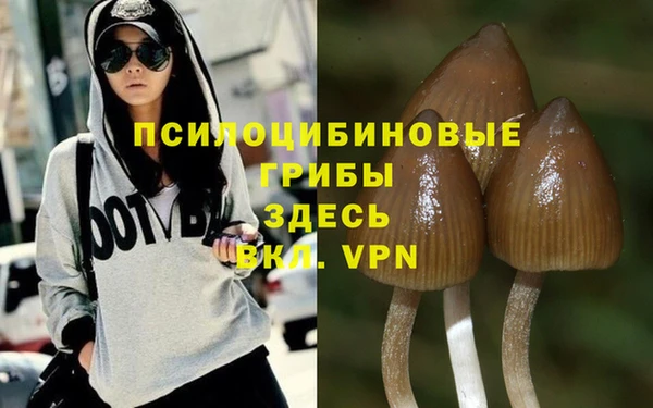 spice Белокуриха