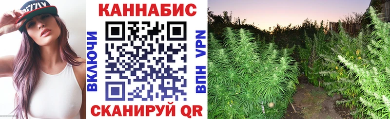 Каннабис Amnesia  закладка  Верхняя Тура 